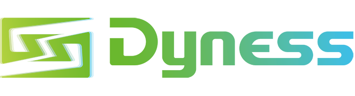 Dyness Dyness