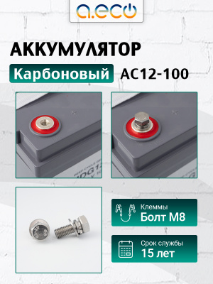 Карбоновый аккумулятор AC12-100